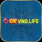 okvndlife okvndlife