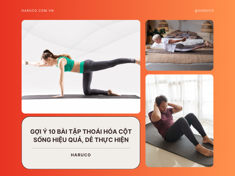 Gợi ý 10 bài tập thoái hóa cột sống hiệu quả, dễ thực hiện
