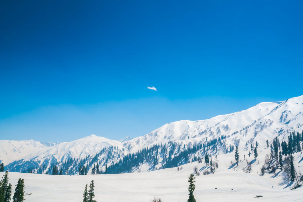 Book No.1 Dehradun to Chopta Taxi & Cab Services at ₹1500