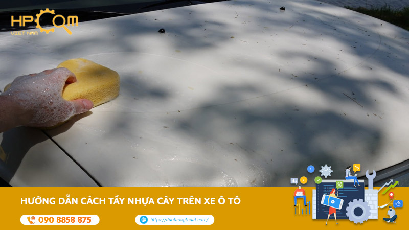 Hướng Dẫn Cách Tẩy Nhựa Cây Trên Xe Ô Tô Hiệu Quả Nhất