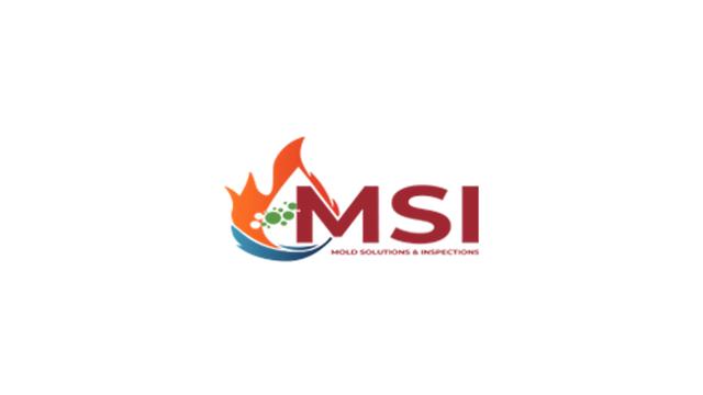 Professional Mold Inspection Services by MSI: Protect Your Home Today