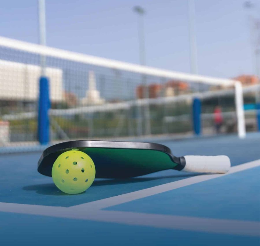 How Pickleball Venues In Dwarka Attract Tourism & Boost Local Businesses | Author nationalgreens | Sociomix