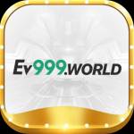 ev999world ev999world