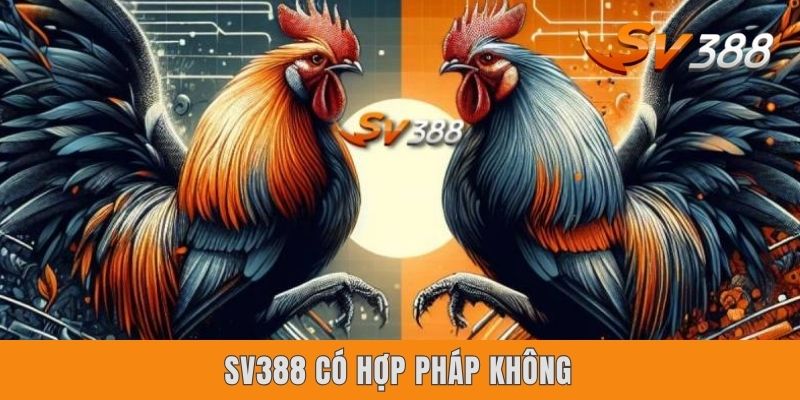 Sv388 Có Hợp Pháp Không? Tổng Hợp 3 Yếu Tố Cốt Lõi Cần Chú Ý