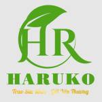 Ghế Massage Haruko