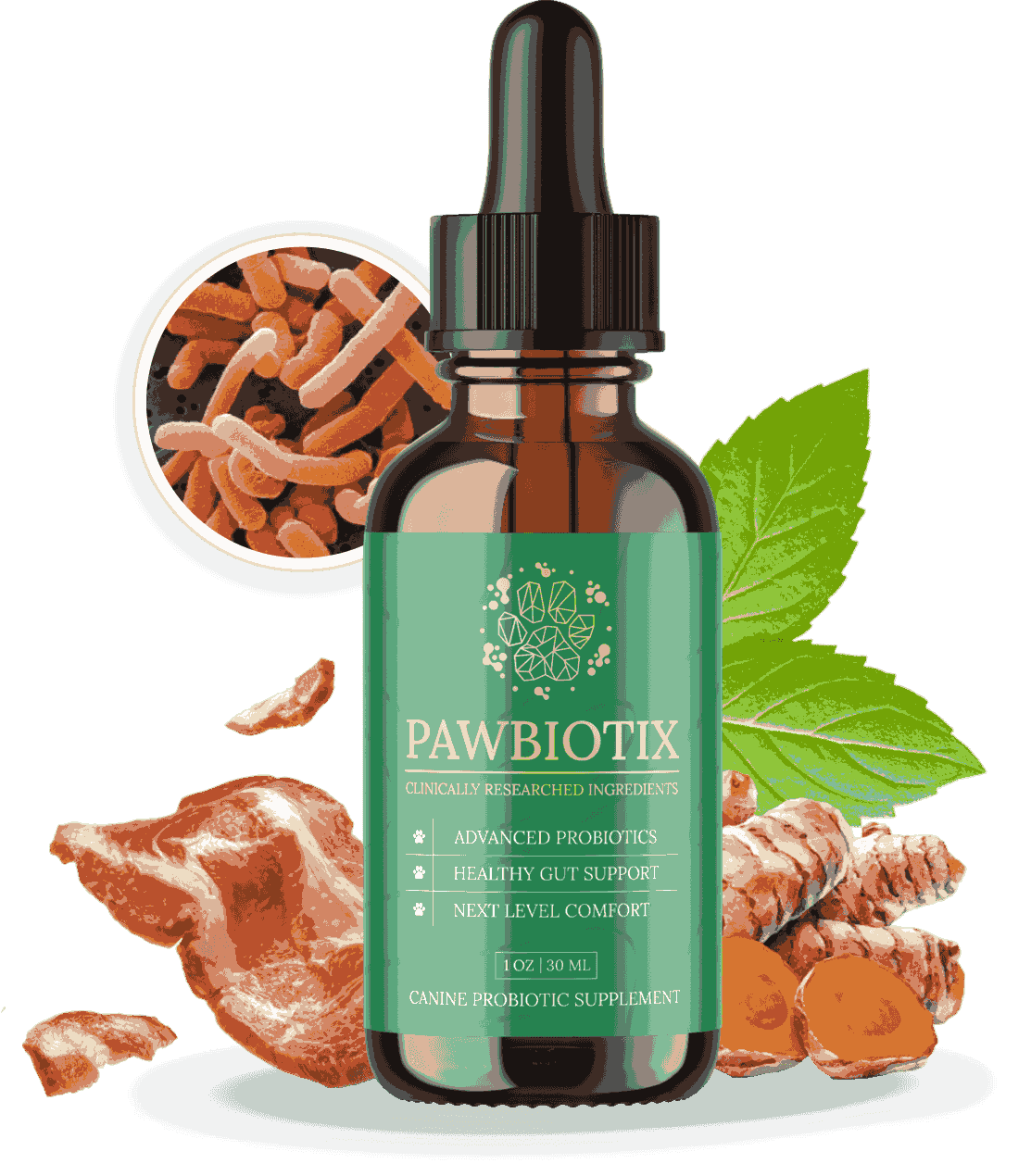 Pawbiotix™ Buy – Official Site for Dog Probiotics
