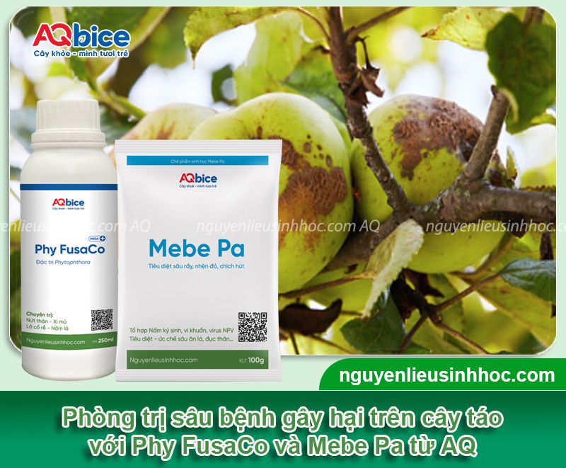 Các loại sâu bệnh hại trên cây táo: Tổng hợp & Cách xử lý