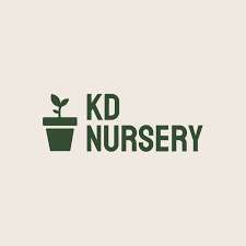 kd nursery