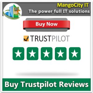 MangoCityIT- Buy Facebook Google Reviews Service
