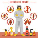 sspest services