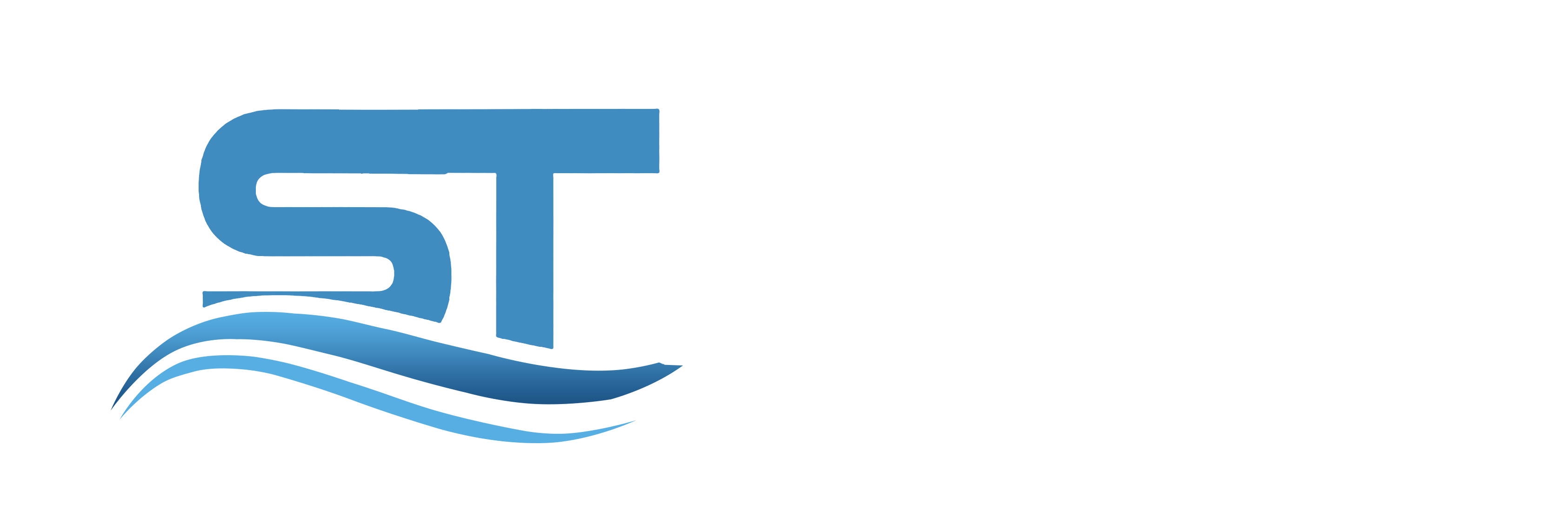 Local SEO Services – Sangita Technologies