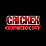Crickex Leading Sports Betting