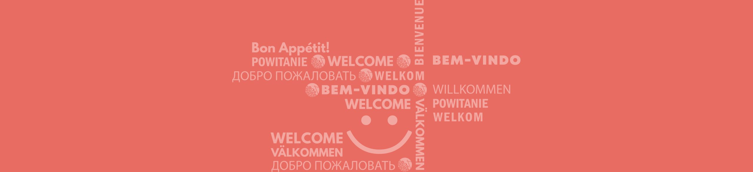 Chinese Noodles Takeaway Carrigaline - NOODLEE