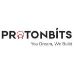 WordPress Development Companies USA Protonbits Software