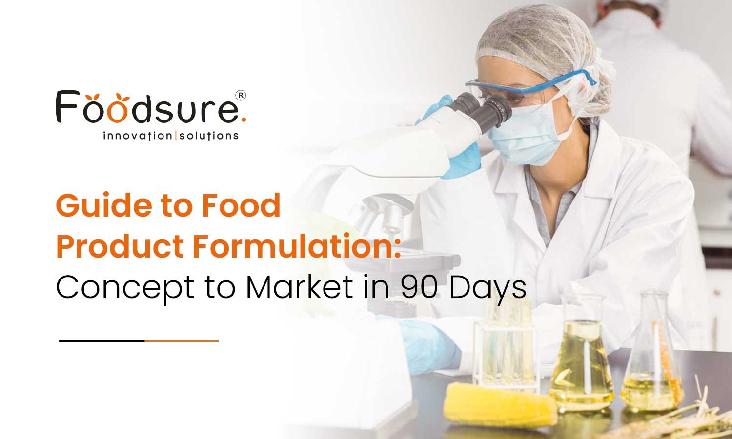 Guide To Achieve Food Product Formulation In 90 Days Easily!