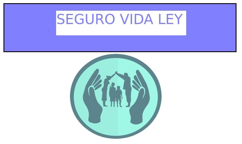 ▷ SEGURO VIDA LEY- Informes y precios [2025]