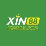 Xin88