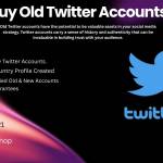 Buy Old Twitter Accounts