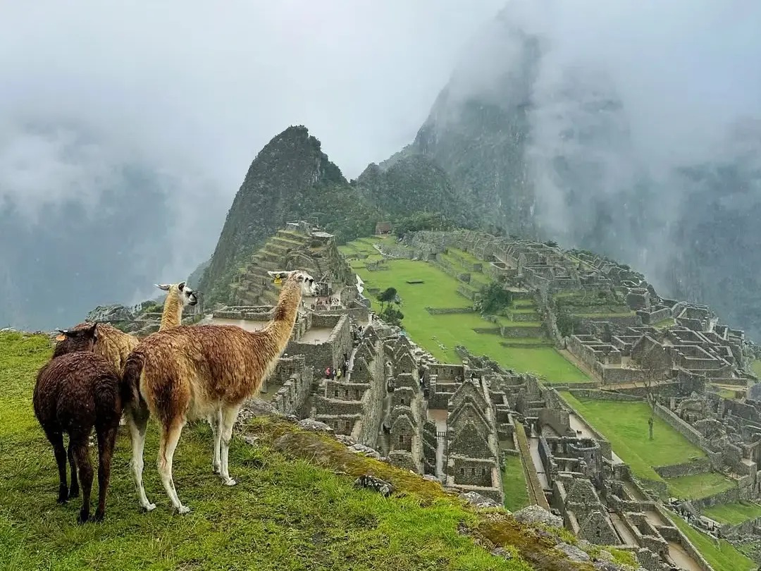 Obtén la ayuda de operadores turísticos responsables para que tu viaje al Valle Sagrado y Machu Picchu sea inolvidable. - NicheBase