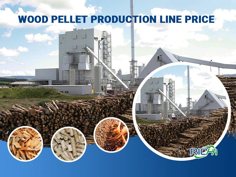 Complete Wood Pellet Line - RICHI Pelletizer