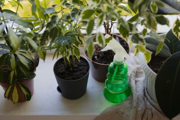 How to Use Liquid Fertilizer for Plants the Right Way – A Complete Guide Article - Ovo Articles - Submit Your Original Articles