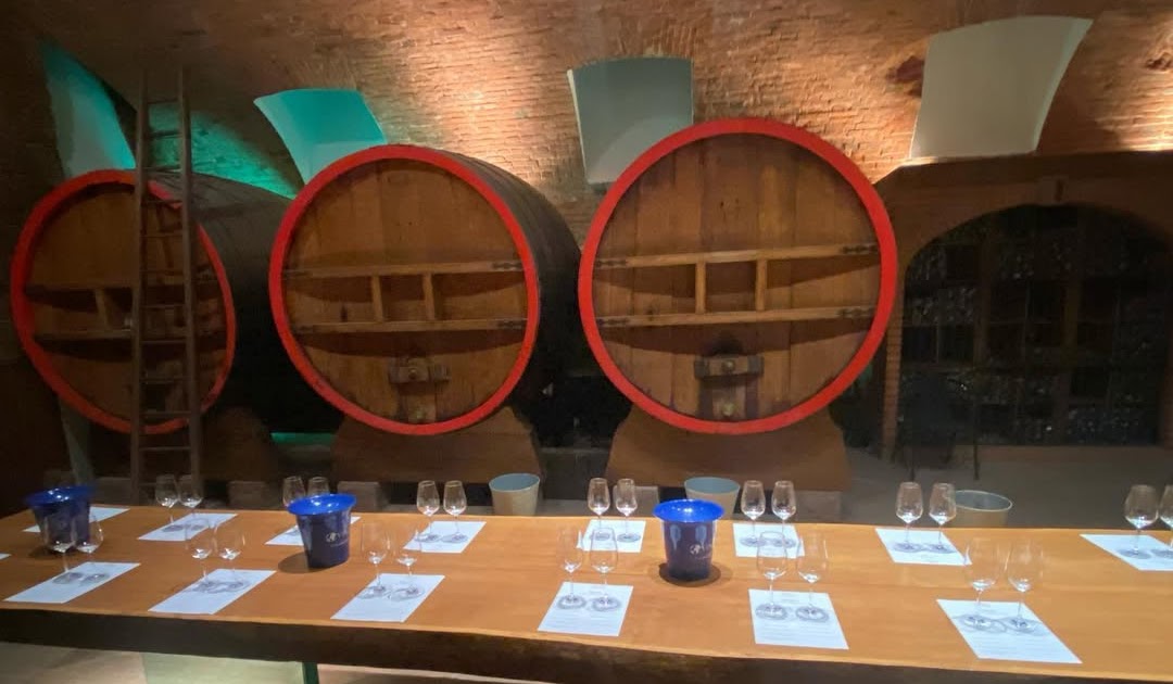 Perfect Wine Cellar Temperature with Winemaster C25 by Kings Winehaus