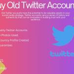 Buy Old Twitter Accounts