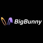 BigBunny Game