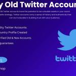 Buy Old Twitter Accounts