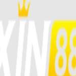 xin88