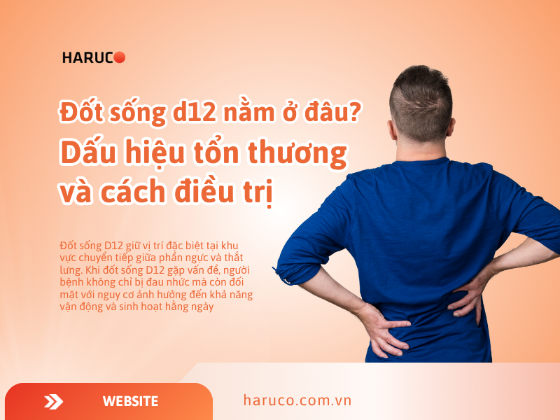 Đốt sống d12 nằm ở đâu? Dấu hiệu tổn thương và cách điều trị