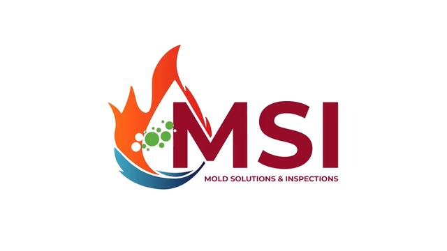 Your Trusted Mold Inspection Specialists: The MSI Advantage