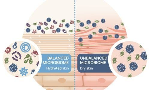 Postbiotics Dưỡng Da: Giải Pháp Phục Hồi An Toàn Và Khoa Học – Newway - Thương hiệu uy tín hàng đầu trong lĩnh vực dược mỹ phẩm