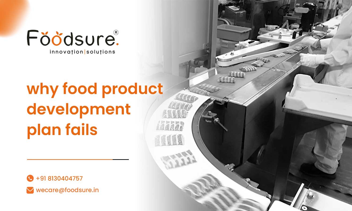 Why Food Product Development Plan Fails - 7 Warning Signs