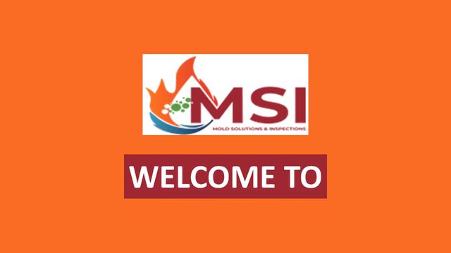 Expert Mold Inspection Services to Protect Your Home and Health At MSI