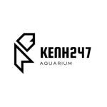 Kenh247 Aquarium