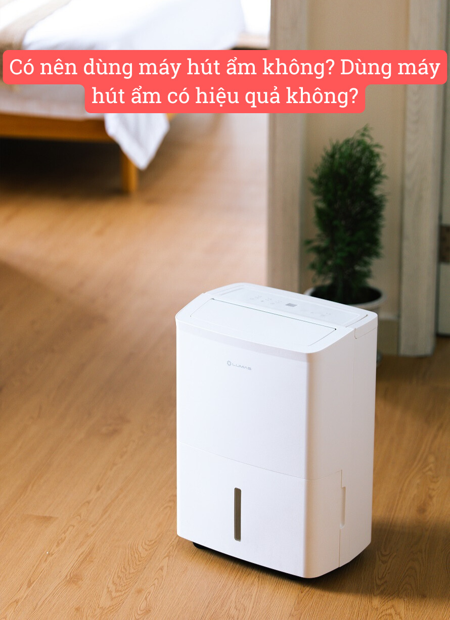 Có nên dùng máy hút ẩm không? Dùng máy hút ẩm có hiệu quả không?