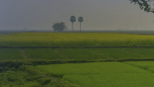 Solutions HPC | Calcul haute performance  | Lenovo Switzerland