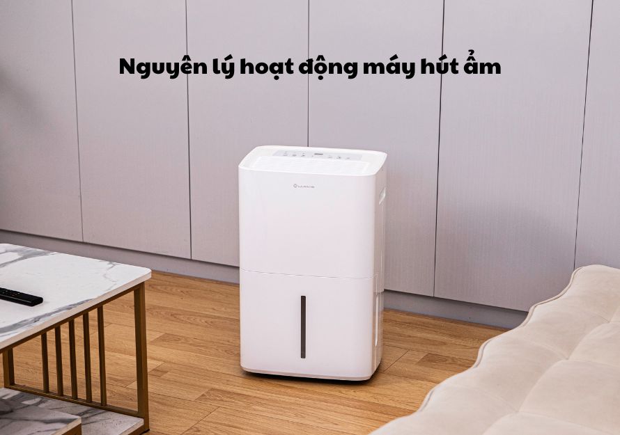 Khám phá chi tiết nguyên lý hoạt động máy hút ẩm