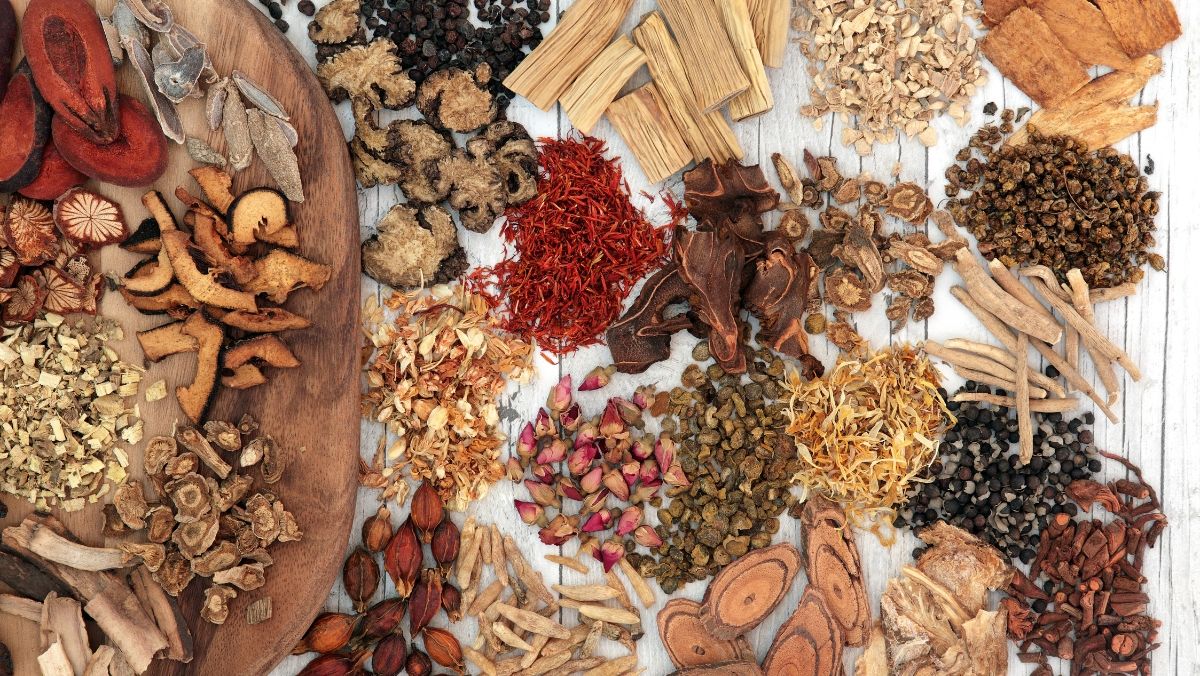 Top 5 thảo dược hỗ trợ điều trị bệnh gan hiệu quả: Giải pháp bảo vệ gan tự nhiên và an toàn – Kienthucduoclieu.vn