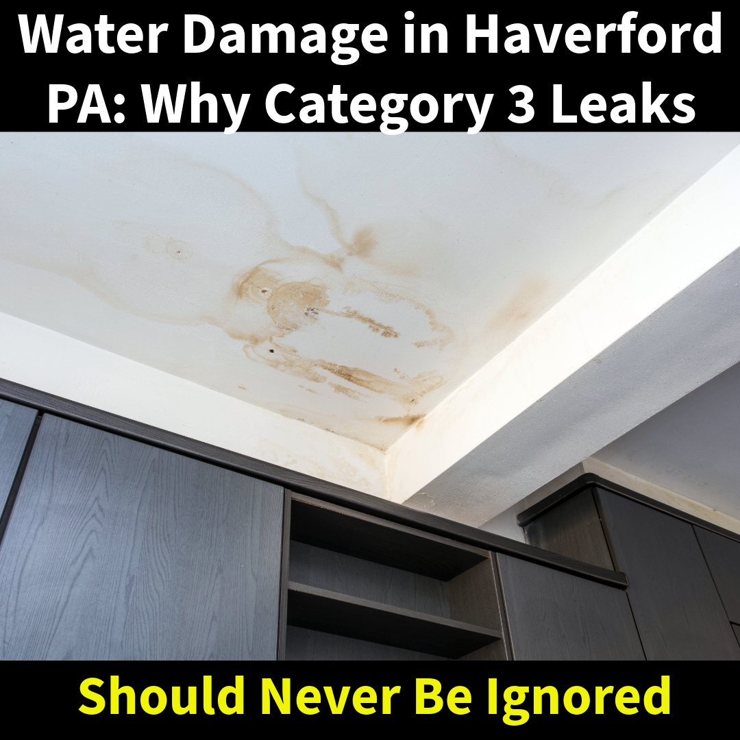 Water Damage in Haverford, PA: Why Category 3 Leaks Should Never Be Ignored | Mold Solutions & Inspections LLC