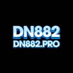 DN88 2Pro