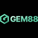 GEM88 net
