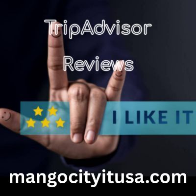 Buy TripAdvisor Reviews | 5 Star Positive Reviews Cheap