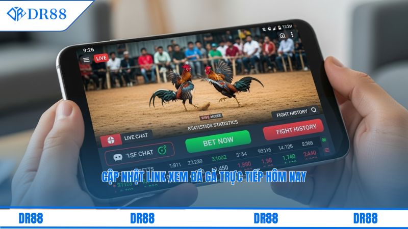 ĐÁ GÀ - DR88