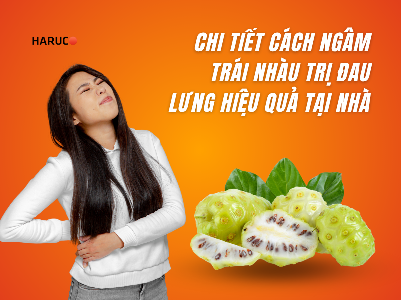 Chi tiết cách ngâm trái nhàu trị đau lưng hiệu quả tại nhà