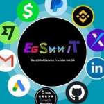 EGSMMIT COM