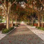 Plots in Devanahalli