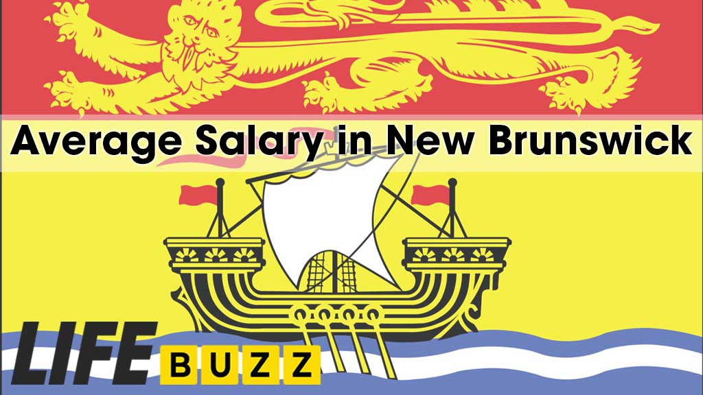 Average Salary In New Brunswick