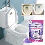 FizzClean Toilet Cleaner